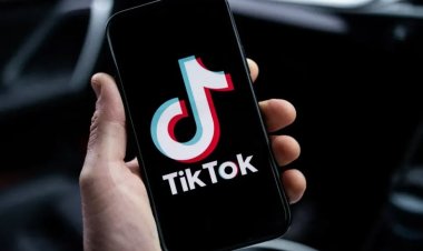 TikTok amendată de UE cu 345 milioane de euro pentru încălcarea regulamentului GDPR cu privire la datele