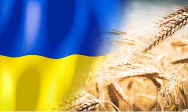 Comisia Europeană a decis să nu prelungească restricţiile la importurile de cereale din Ucraina