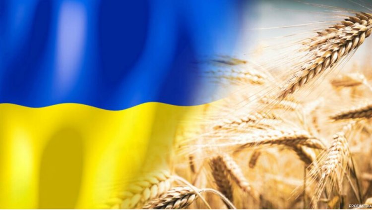 Comisia Europeană a decis să nu prelungească restricţiile la importurile de cereale din Ucraina
