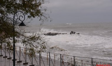 Județele Constanța și Tulcea vor intra sub cod portocaliu de ninsori și viscol
