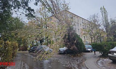 FOTO Vremea rea a făcut ravagii la Constanța. S-a emis cod roșu de viscol