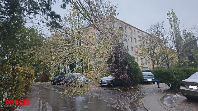 FOTO Vremea rea a făcut ravagii la Constanța. S-a emis cod roșu de viscol