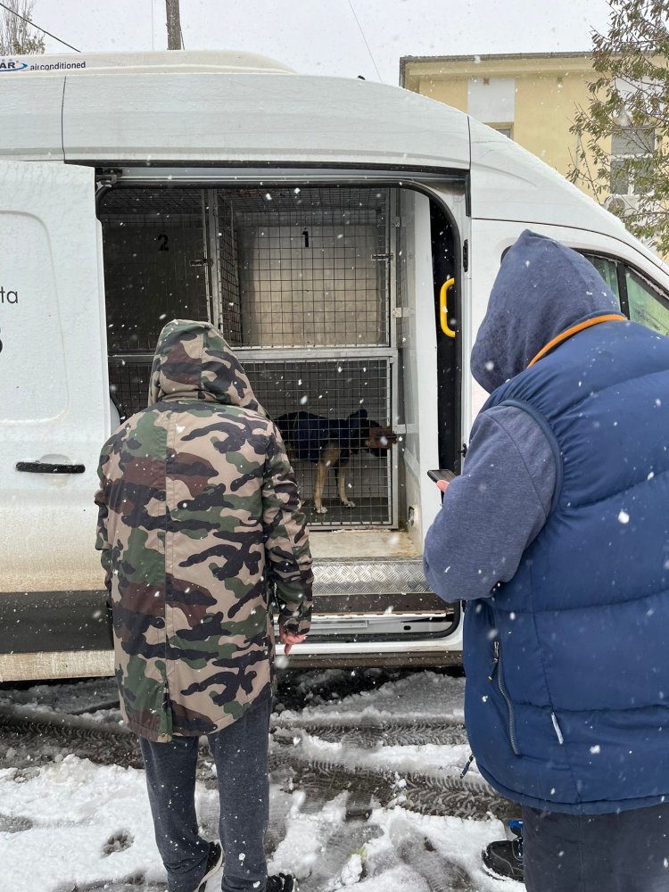 Un om al străzii a cerut ajutor polițiștilor constănțeni, pentru el și câinele lui