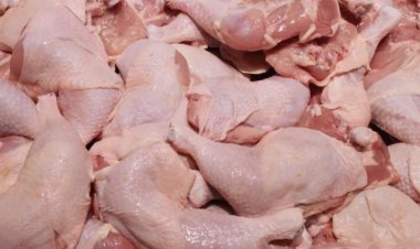 Pulpe de pui, retrase de pe piaţă după ce au fost depistate cu Salmonella