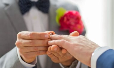 Premierul Mitsotakis vrea să legalizeze căsătoriile homosexuale