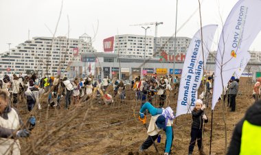 Peste 16.000 arbori și arbuști, plantați într-o singură zi cu ajutorul a 370 voluntari