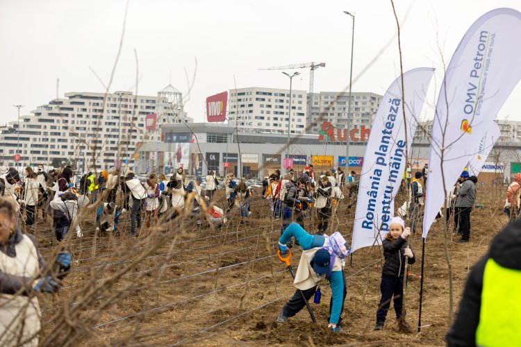 Peste 16.000 arbori și arbuști, plantați într-o singură zi cu ajutorul a 370 voluntari