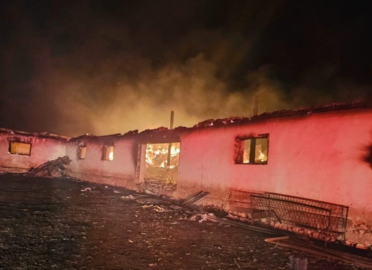 Sute de animale au ars de vii într-un incendiu izbucnit la saivanul de oi din localitate Ostrov