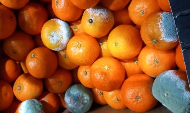 Tone de legume și fructe retrase de la vânzare