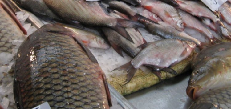 Inspectorii ANPC au retras peste 1,3 tone de pește expirat din magazine
