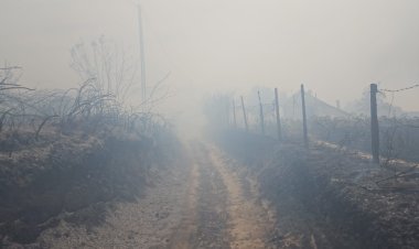 20 de gospodării şi trei case dezafectate, arse în incendiul de la Dunăreni; focul a cuprins 450 hectare de mirişte