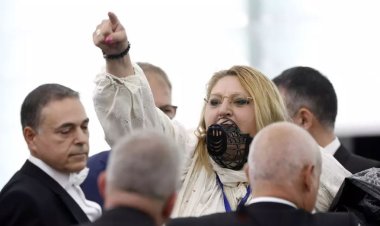 Circ marca Diana Șoșoacă la Parlamentul European
