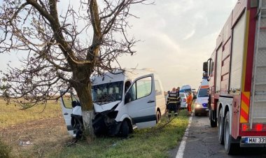 Un microbuz a intrat în copac, la ieşire din Murfatlar. Două minore au ajuns la spital