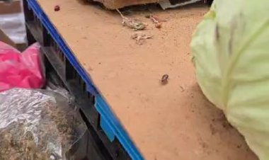 Piaţa Griviţei din Constanţa, închisă temporar de Protecţia Consumatorilor