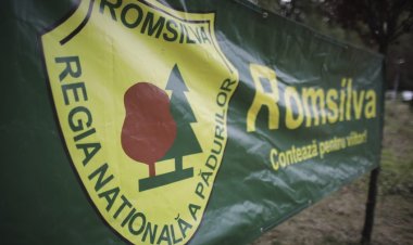 90 la sută din directorii Romsilva vor fi concediați