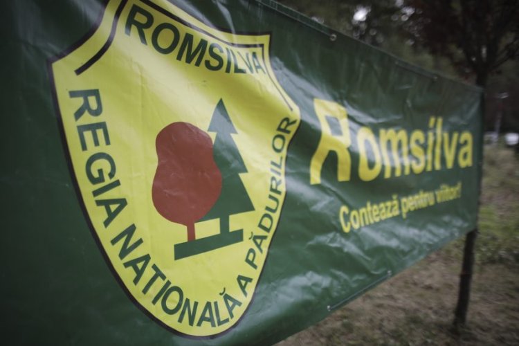 90 la sută din directorii Romsilva vor fi concediați
