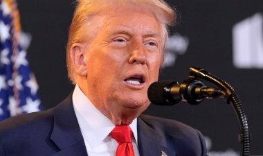 Trump vrea o întâlnire în trei cu Putin și Zelenski aproape imediat după întrevederea cu Putin din Alaska