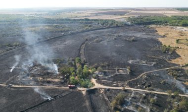 Circulația feroviară între Medgidia și Mircea Vodă a fost oprită temporar din cauza unui incendiu de vegetaţie