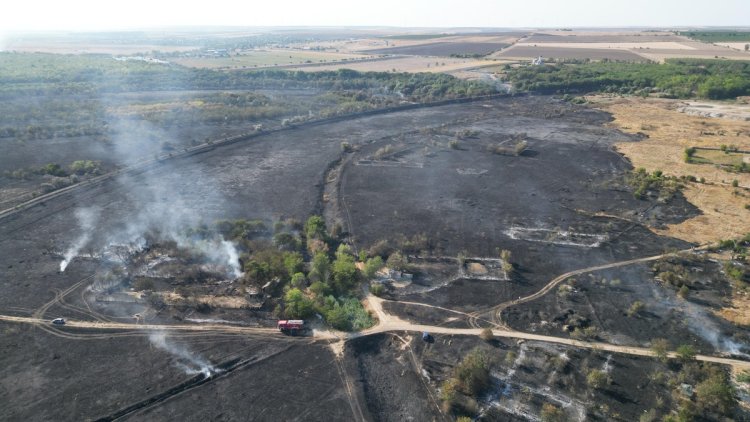 Circulația feroviară între Medgidia și Mircea Vodă a fost oprită temporar din cauza unui incendiu de vegetaţie