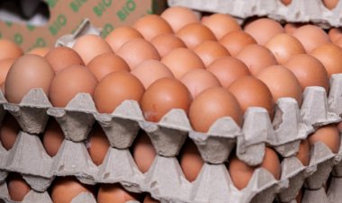 Ouă retrase de urgență de la Kaufland și Mega Image