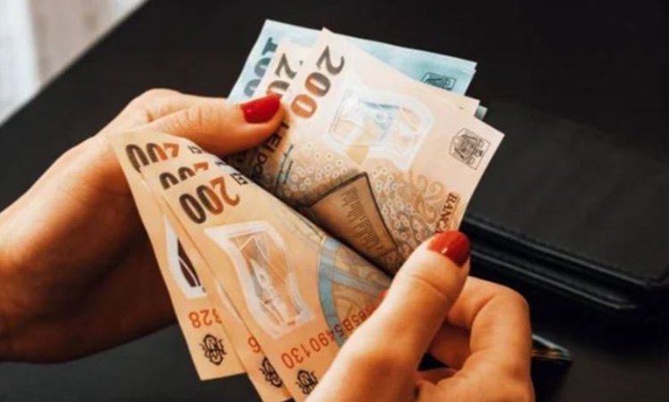 IMM România propune înghețarea salariului minim brut pe țară pentru anul 2026