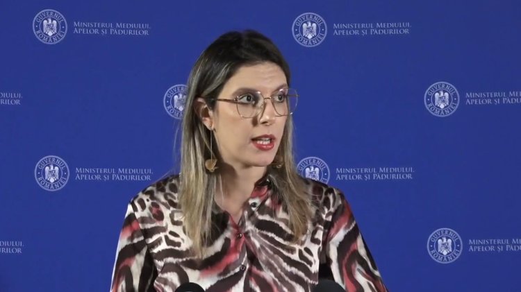 Diana Buzoianu, despre controalele privind plajele din Năvodari: S-au plătit amenzi cât două sticle de șampanie de lux