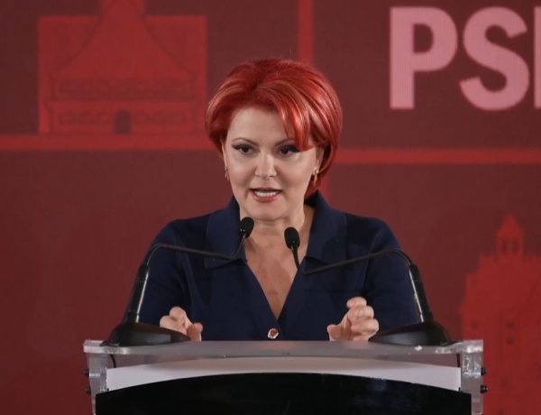 Olguța Vasilescu: Șobolanul ăl mare are o singură sprânceană și se uită încruntat la români