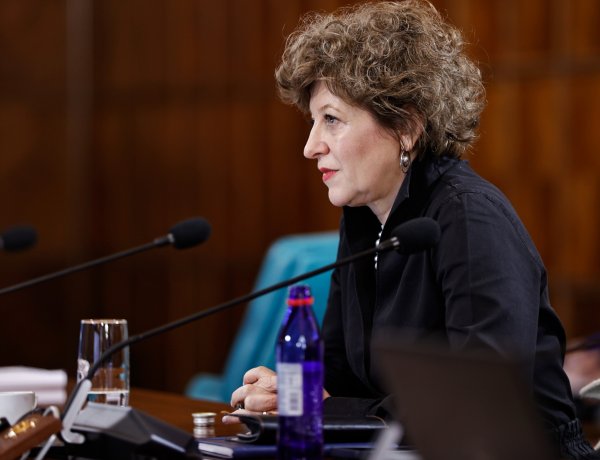 Olguța Vasilescu: Oana Gheorghiu nu a condus în viaţa ei nici măcar un coteț de curci