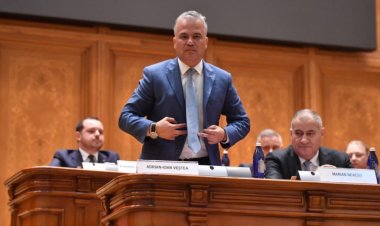 Guvernul Veştea a picat. Veştea: Am conștiința împăcată, mi-am făcut datoria.